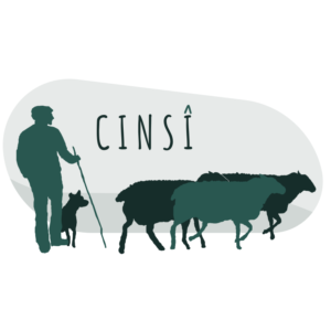 Logo-Cinsî